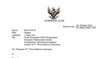 Masih Operasikan Pabrik di Tengah Sanksi, Dua Perusahaan Industri Hasil Hutan di Aceh Langgar Ketentuan Lingkungan